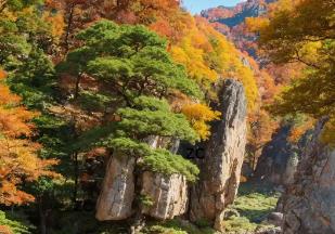 企业职工关于安全演讲稿_铭记在心(精选6篇)