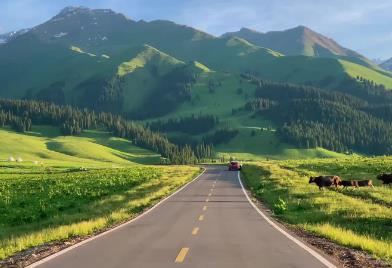 研究生开题报告合集(通用33篇)